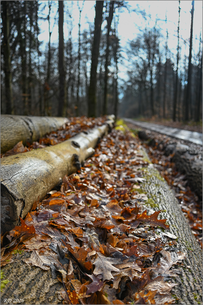 DZ7_0322.jpg