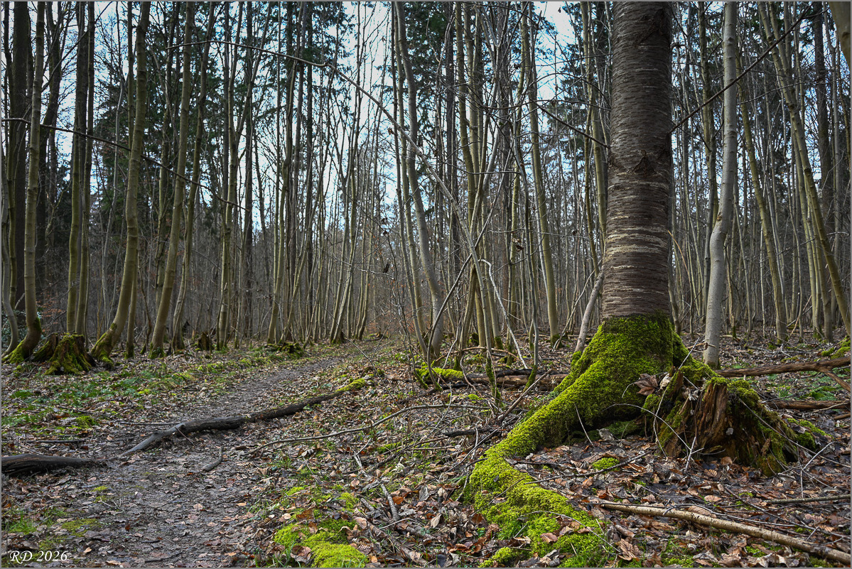 DZ7_0327.jpg