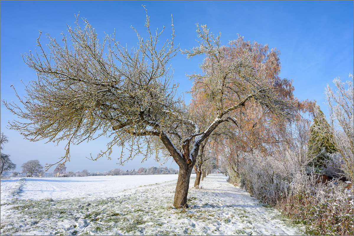 DZ7_1357.jpg