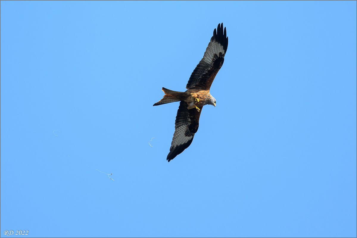 DZ7_3499-Bearbeitet.jpg