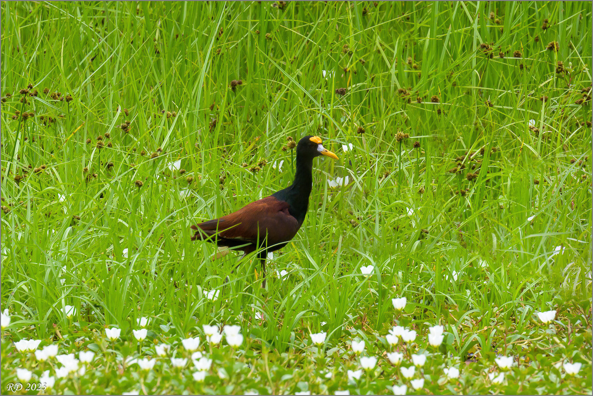 DZ7_3865-Bearbeitet.jpg