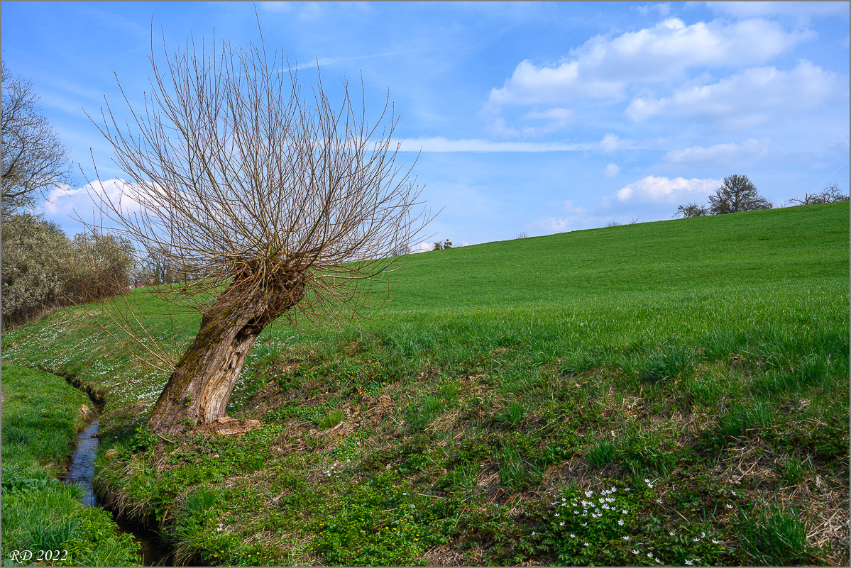 DZ7_3883.jpg