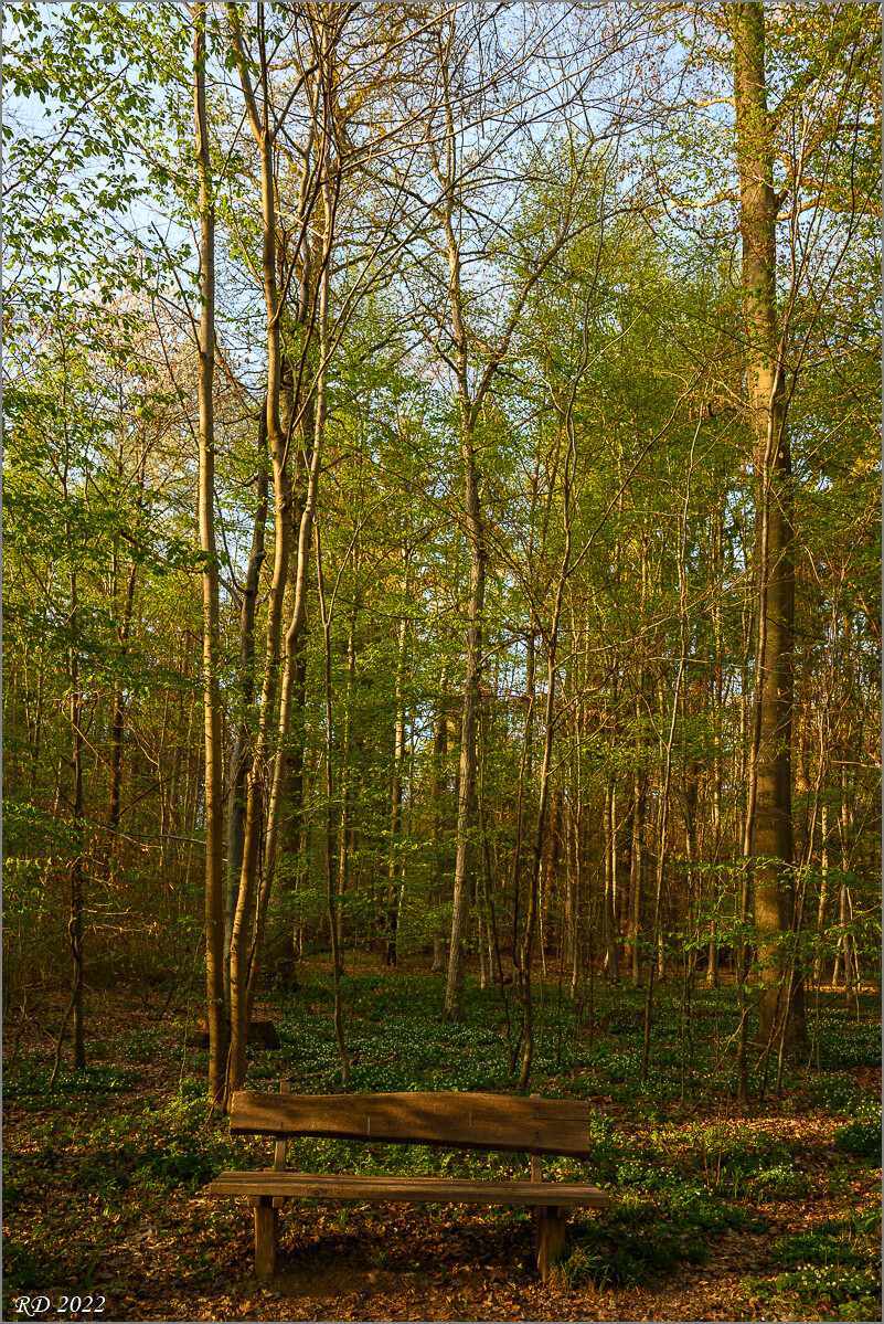DZ7_3901.jpg