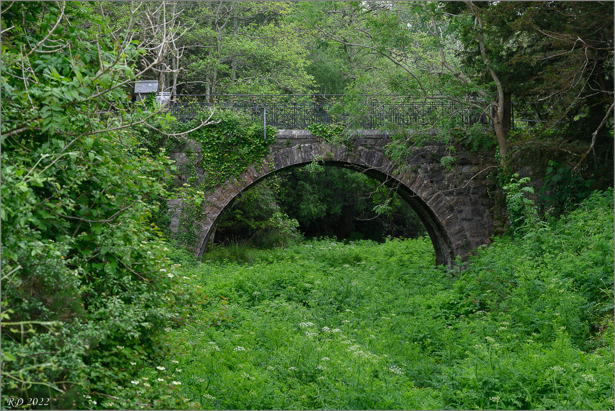 DZ7_4202.jpg