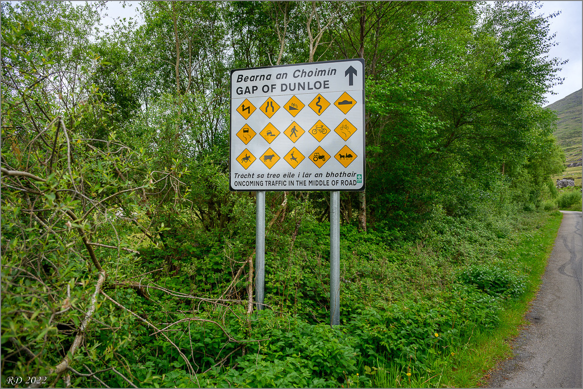 DZ7_4345.jpg