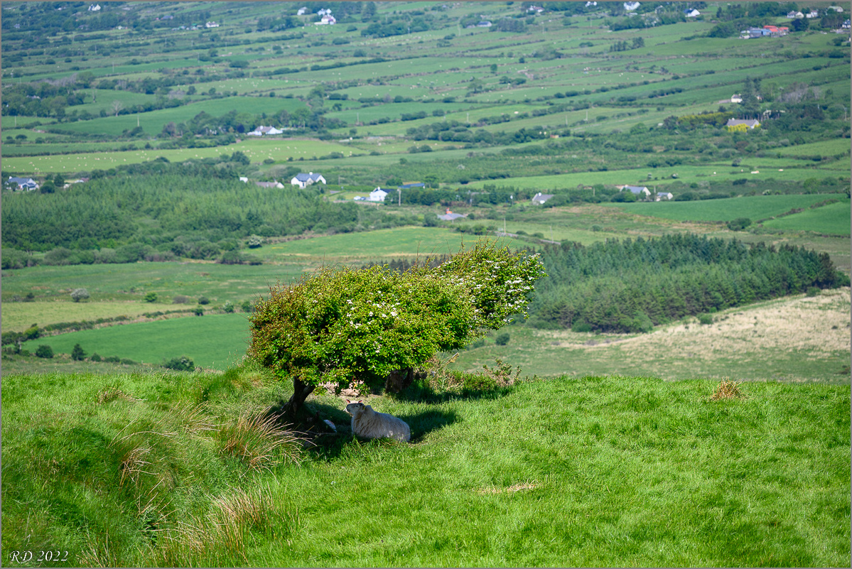 DZ7_5092.jpg