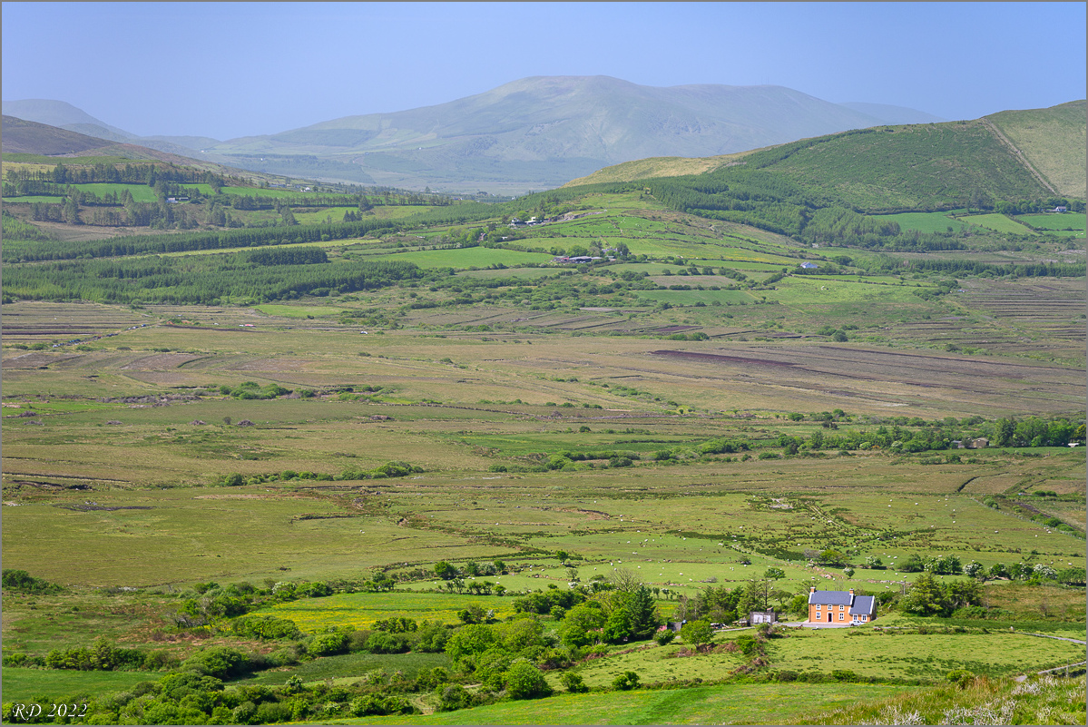 DZ7_5144.jpg