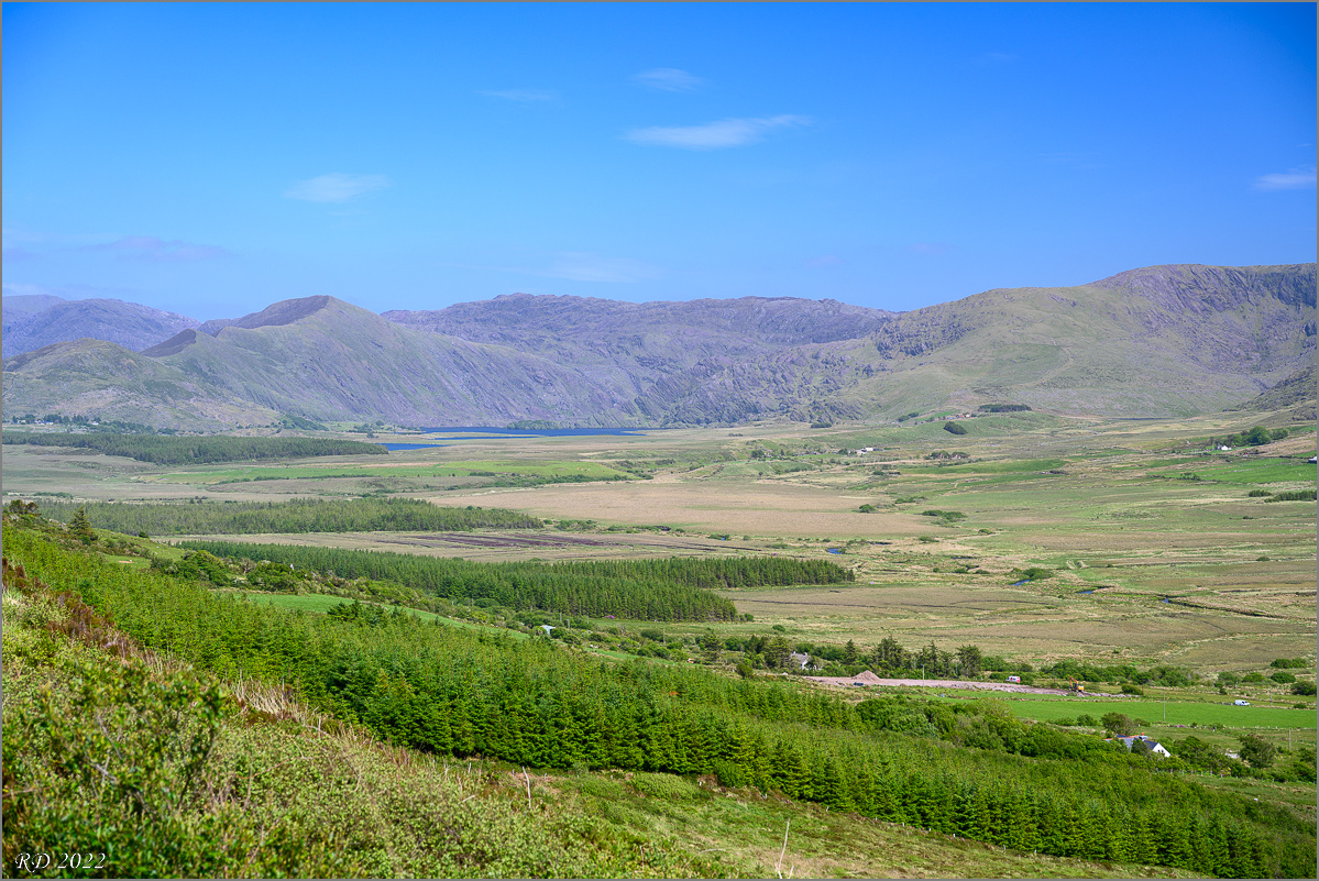 DZ7_5205.jpg