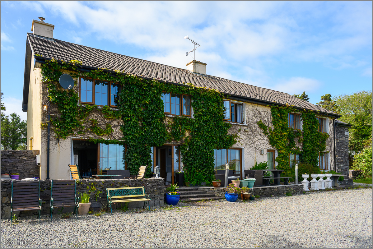 DZ7_5487.jpg