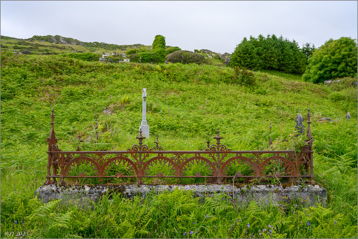 DZ7_5541.jpg
