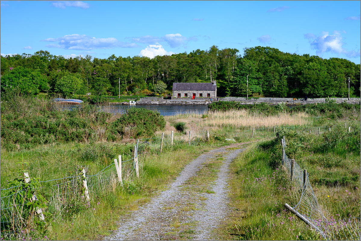DZ7_5654.jpg