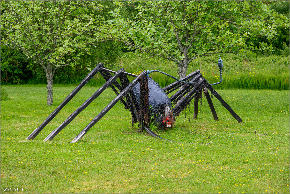DZ7_6043.jpg