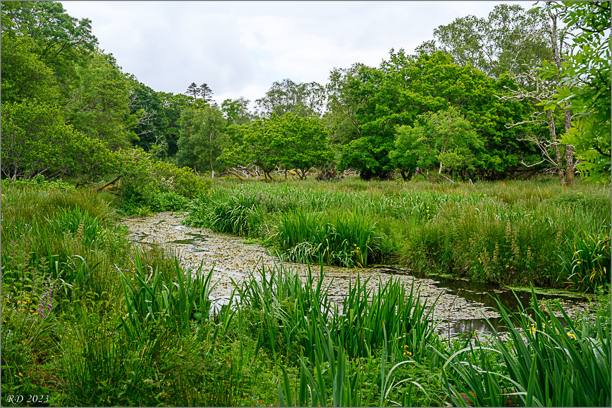 DZ7_6287.jpg