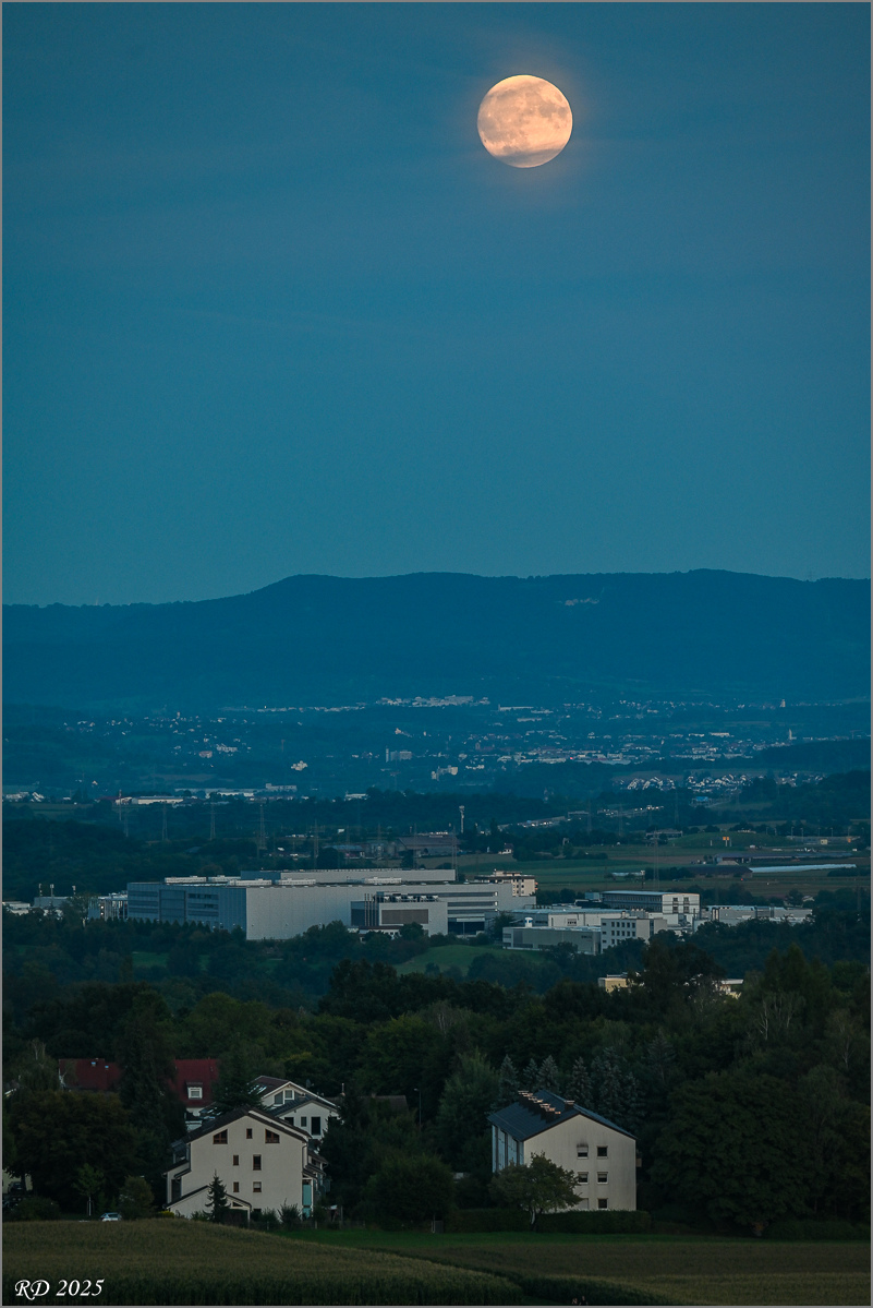 DZ7_7759.jpg