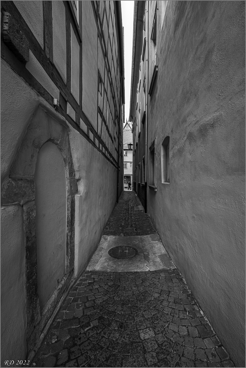 DZ7_8192.jpg