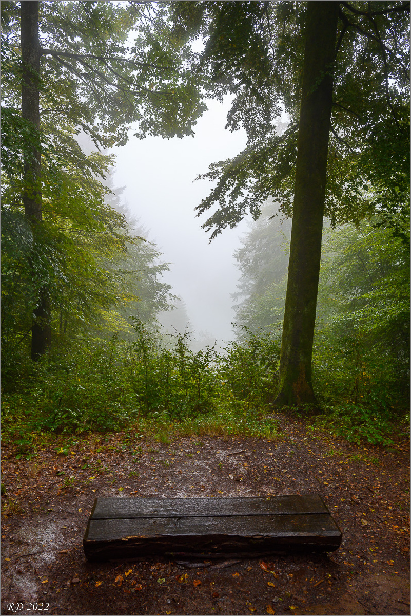 DZ7_9023.jpg