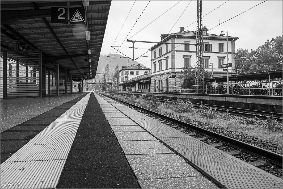 DZ7_9041.jpg