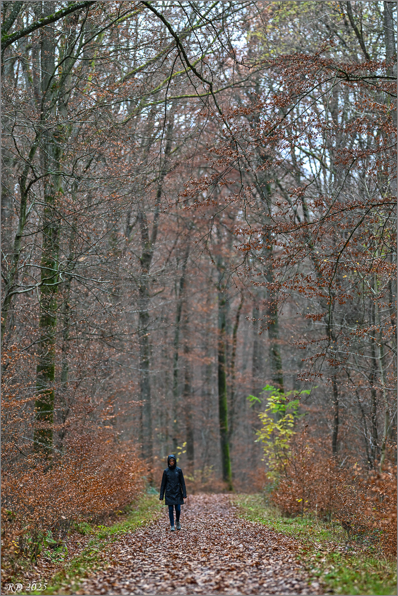 DZ8_0166.jpg