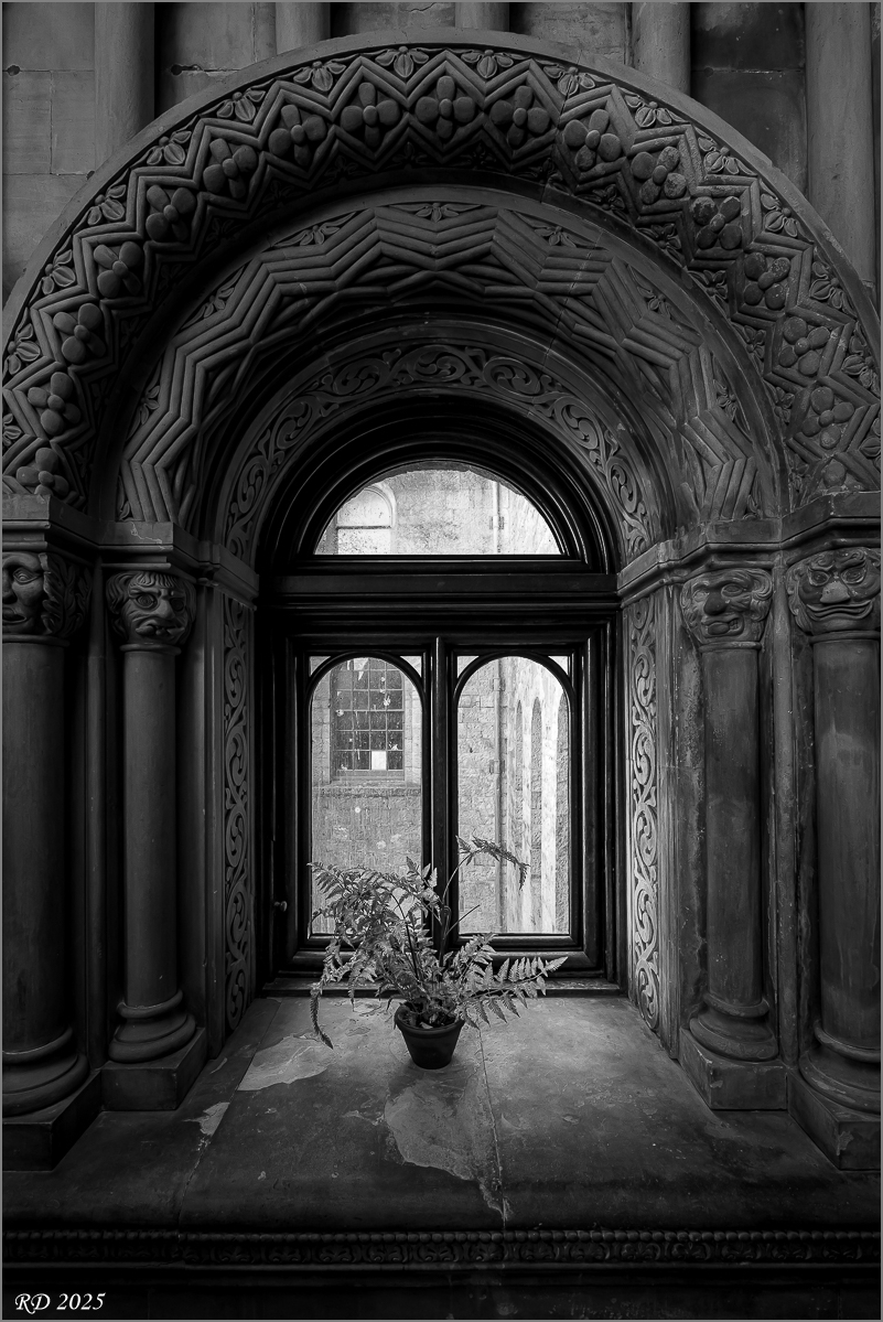 DZ8_1219.jpg