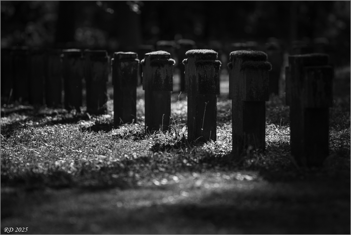 DZ8_2160.jpg
