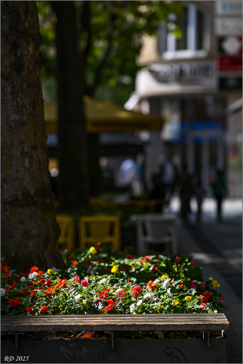DZ8_2280.jpg