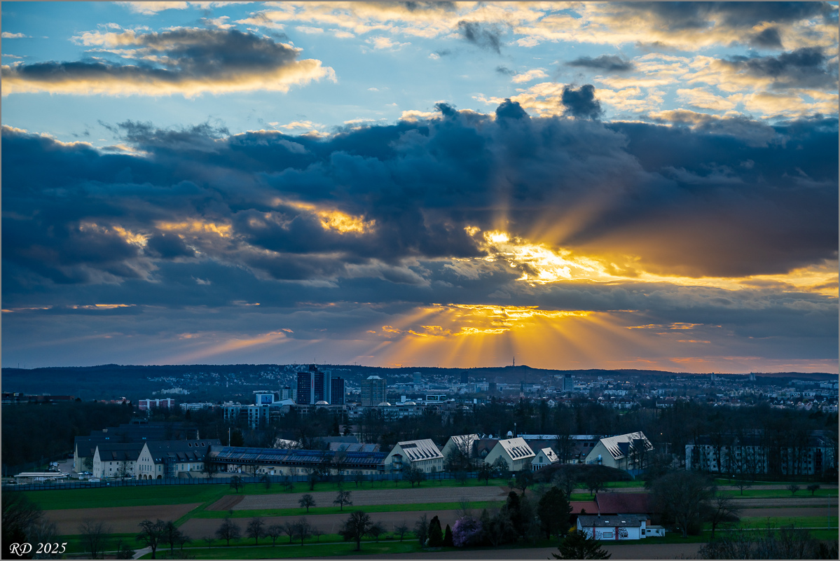 DZ8_6898-2.jpg