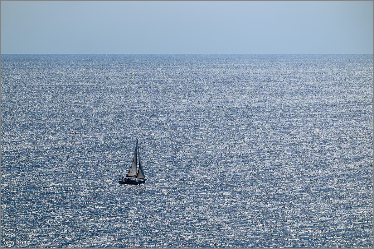 DZ8_8384.jpg