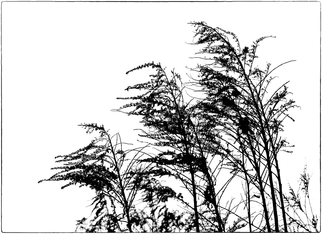 E002659c