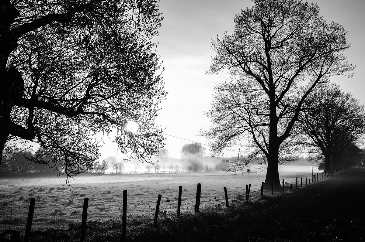 Early Morning DSCF0184