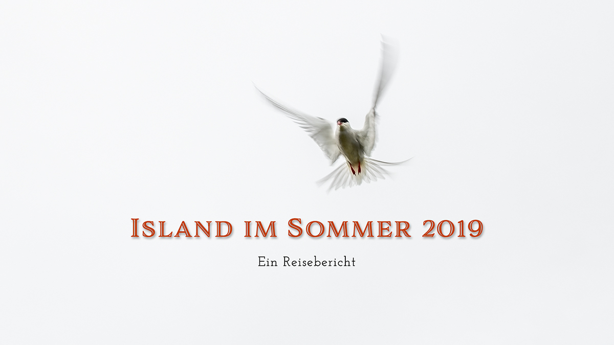 EB_ISL2019_001.jpg