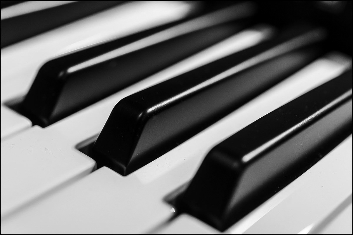 Ebony and Ivory (1 von 1).JPG