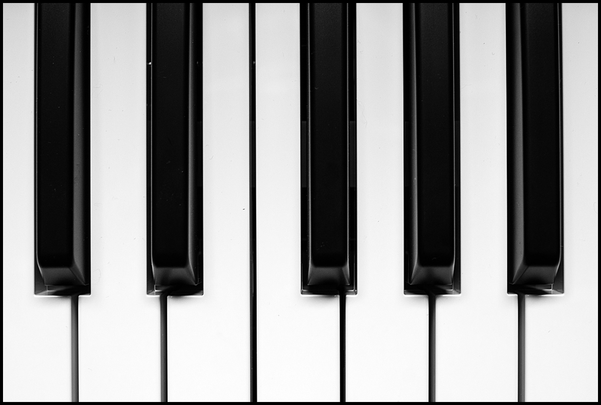 Ebony And Ivory