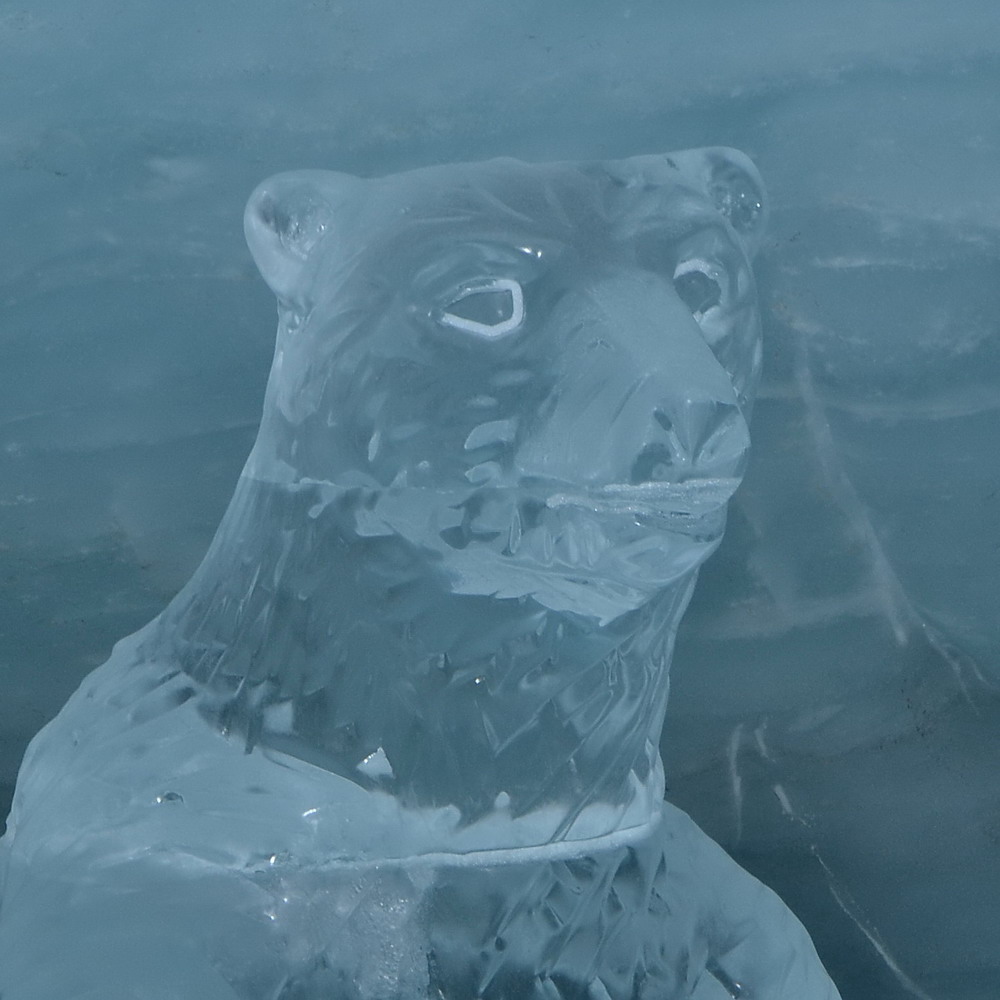 Echter Eisbär