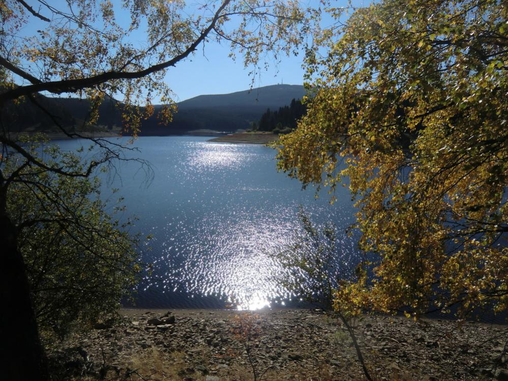 Eckertalsperre
