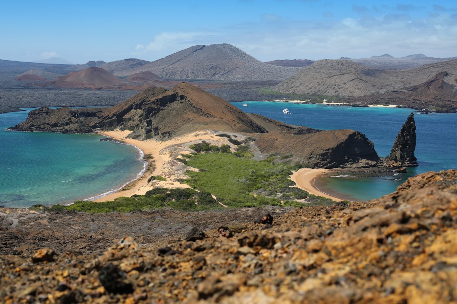 ECU 2014 1JEH Galapagos Galapagos 6846