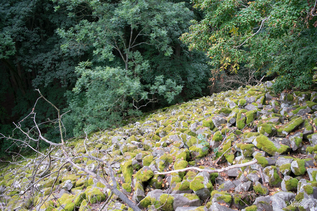 ehemaliger Vulkan, "Großer Stein" Burbach