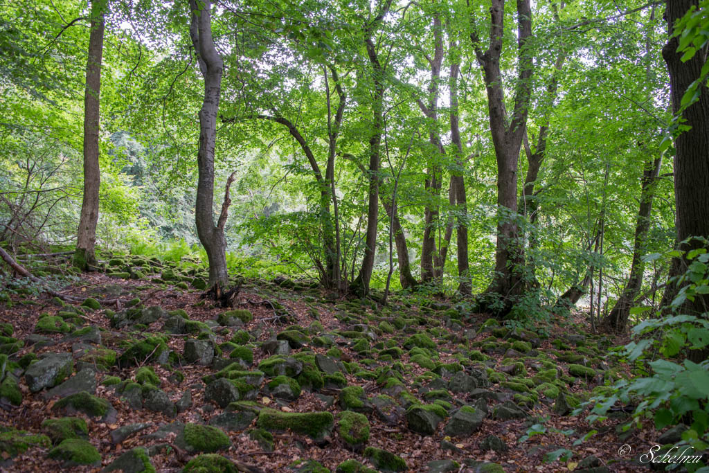 ehemaliger Vulkan, "Großer Stein" Burbach