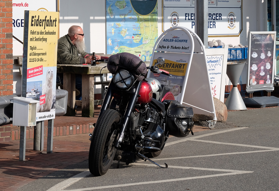 Eider Rider