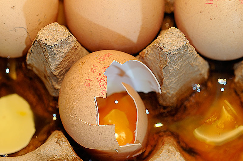 Eier