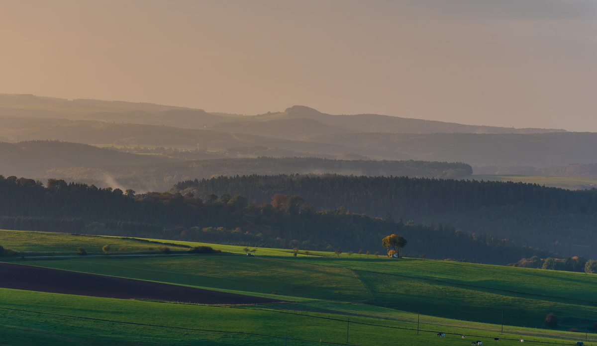 Eifelhügel