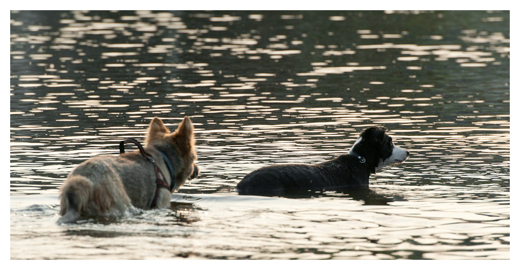 ein Abend im See
