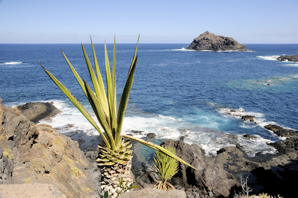 Ein Blick von Tneriffa im Ort Garachico