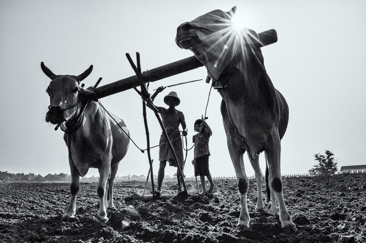 Ein Farmer mit seiner Tochter an der U Bein Bridge in der Nähe von Mandalay