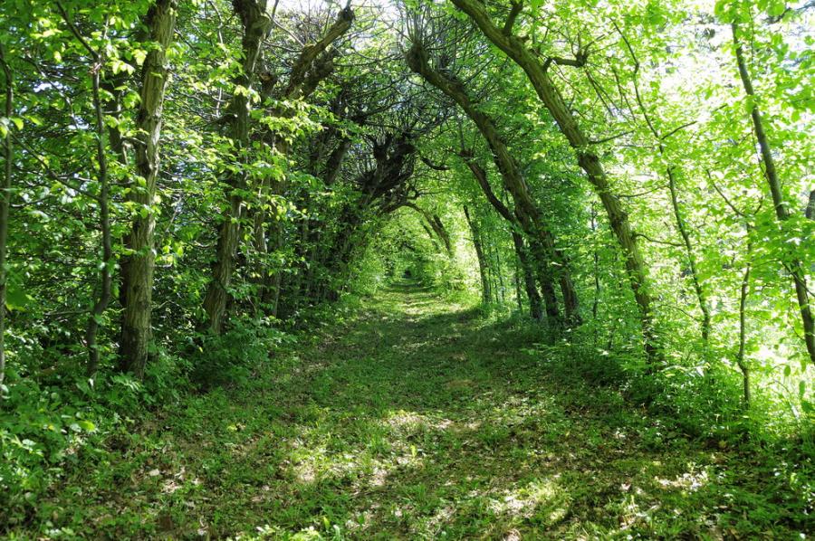 ...ein Tunnel! Und bestimmt 200m lang!