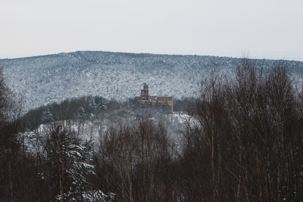Ein weiteres Bild auf die Klosterruine Limburg durch die Winterlandschaft des Pfälzerwaldes