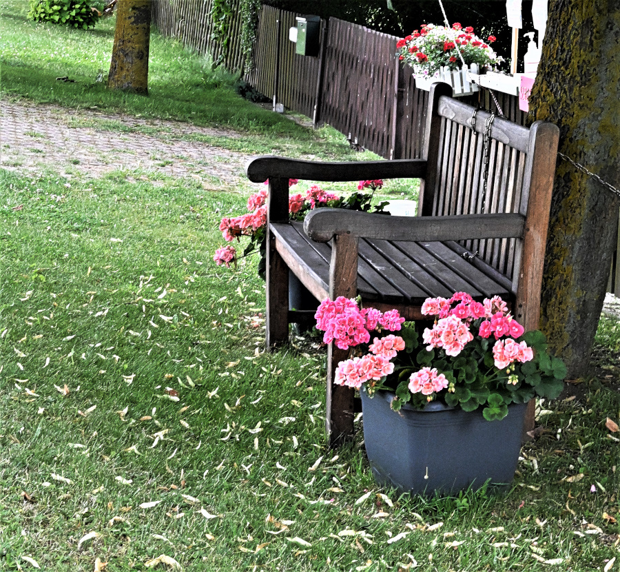 Eine Blumenbank.jpg