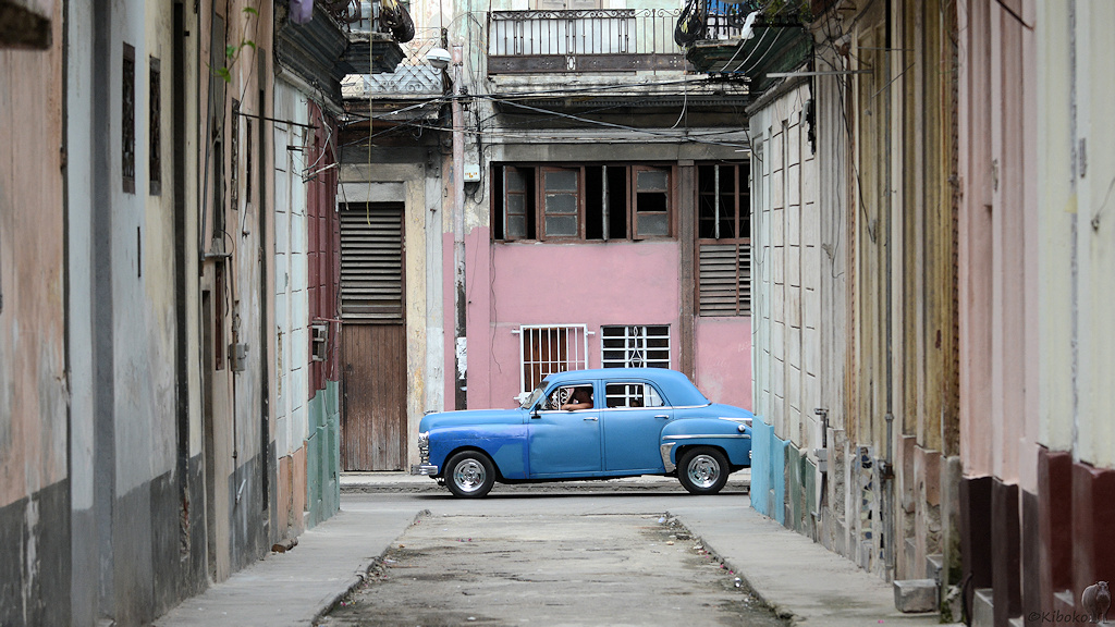 Eine Gasse in Havanna
himmelblau
6556a