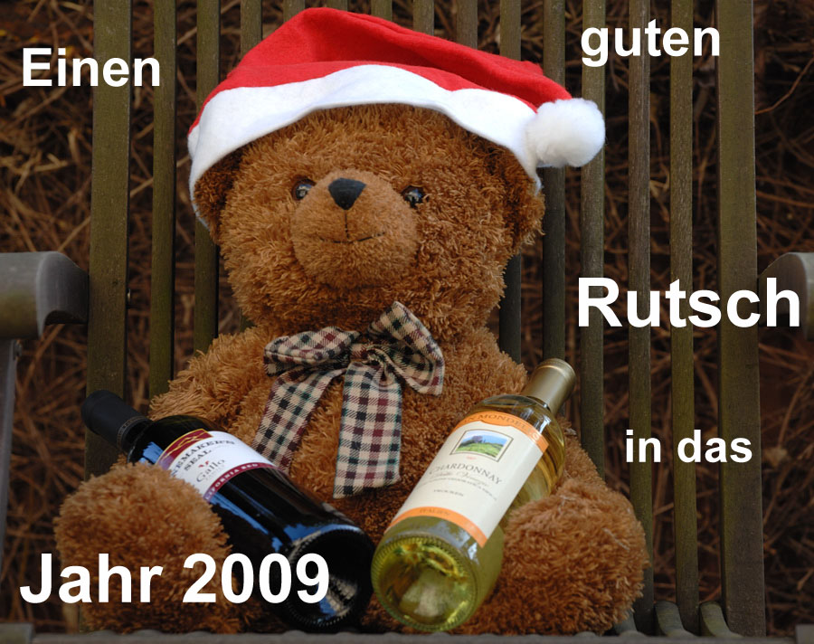 Einen guten Rutsch und einen gesunden Start in das Jahr 2009