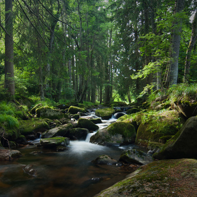 Einer von vielen Wasserläufen im Harz. Mein erster Versuch mit Graufilter die Belichtungszeit zu verlängern.