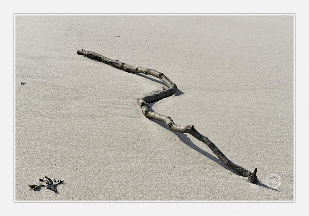 Eines von vielen Fundstücken am Strand - hier interessierte mich die diagonale Lage und der Schatten